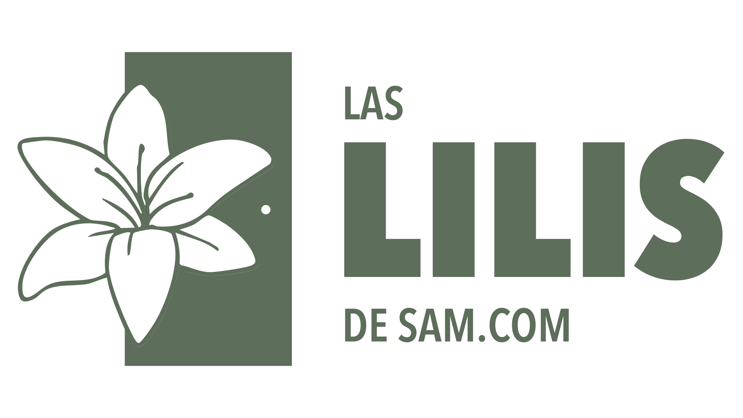Las Lilis de Sam